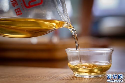萬千氣象看云南 | 鳳慶春茶開采，茶香四溢的夏秋滋味
